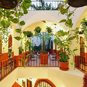 3* Hotel Alma Y Mar 5th Av